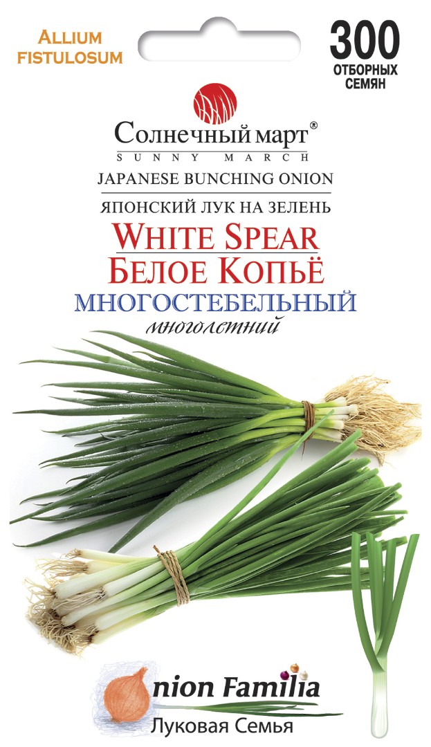 Лук Белое копье